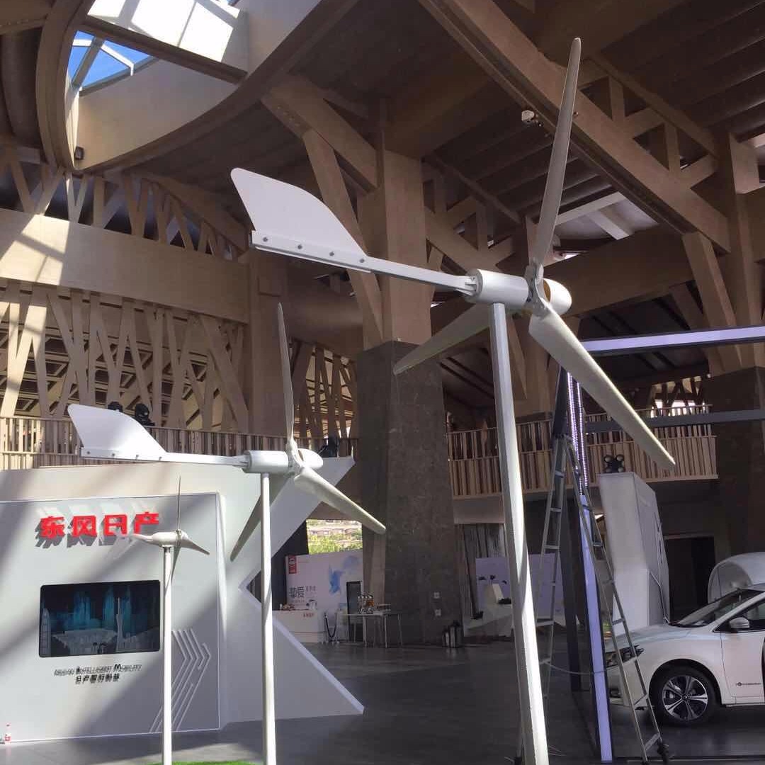 晟成包邮1千瓦风力发电机小型离网风力发电系统家庭使用新能源发电