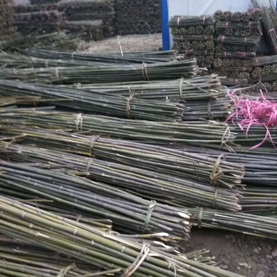 出产地各种爬藤小竹杆 4-8米大棚竹杆批发 1-4米树撑撑杆 大毛竹