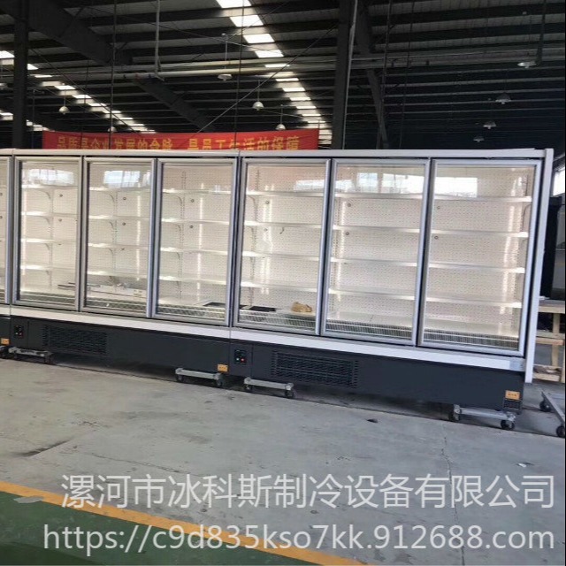 冰科斯-WLX-LSLD-40 冰淇淋冷冻展示柜北京立式冷冻柜价格超市便利店冷藏展示柜