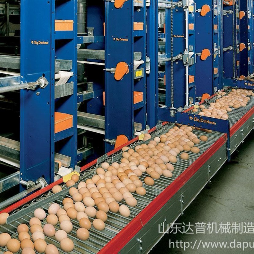 达普 直供全自动捡蛋机 蛋鸡养殖设备 自动集蛋机