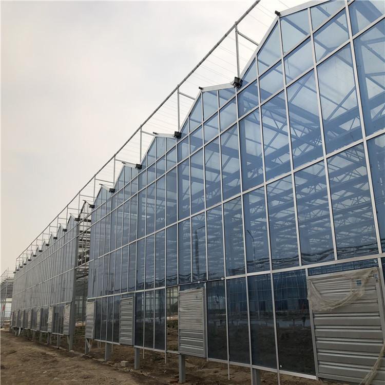 博伟 BW  现代化玻璃温室建设 承建连栋温室 智能玻璃大棚 连体玻璃温室 质量保障