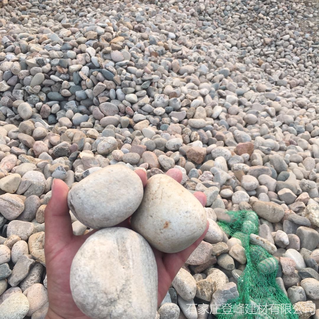 山东厂家批发 现货河道石 鹅卵石源头厂家 庭院别墅鹅卵石 质量可靠