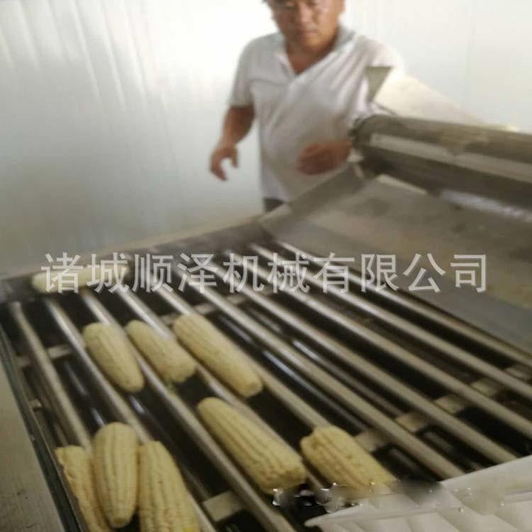 玉米滚杠式清洗机 玉米漂烫机 不锈钢玉米加工成套设备 顺泽直销