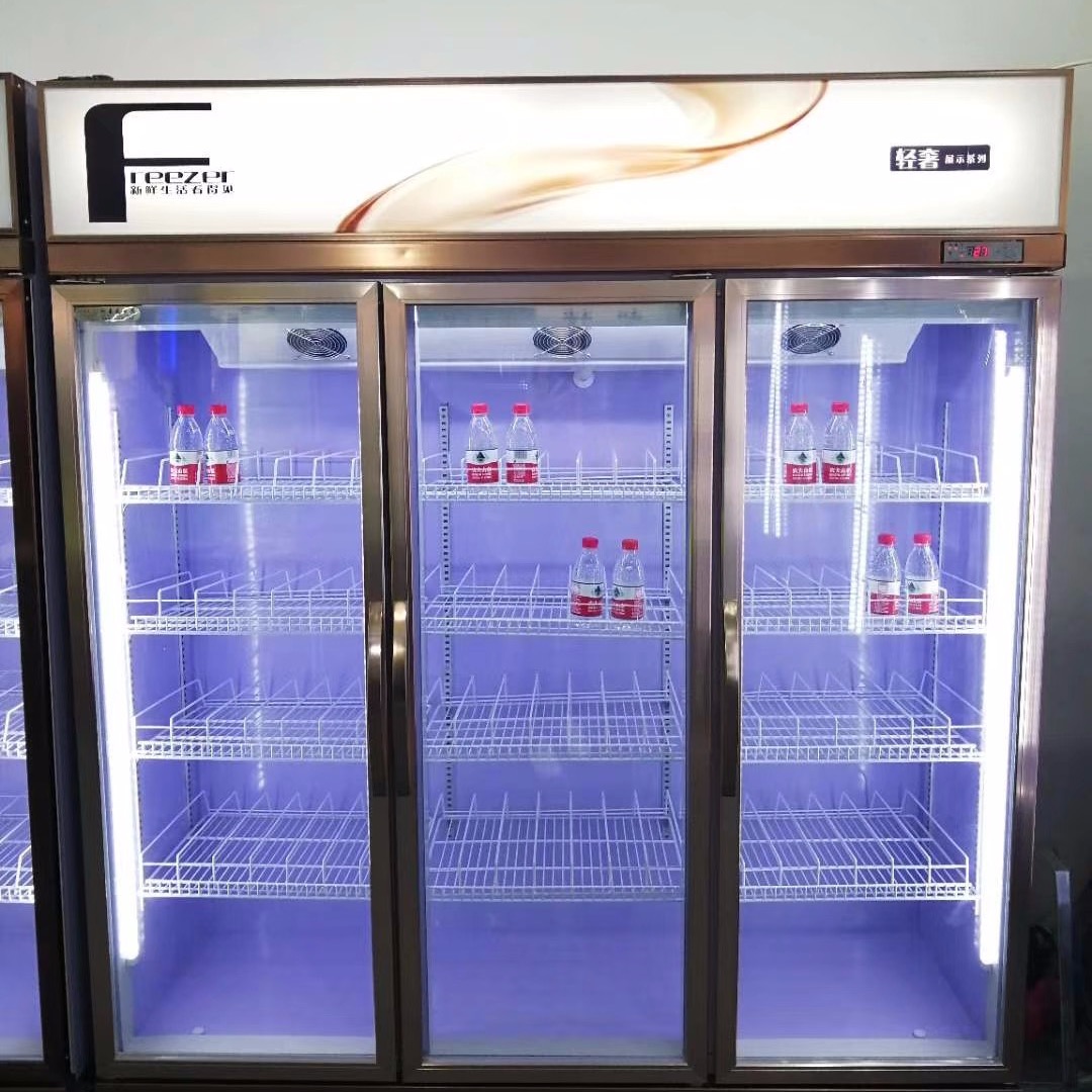 宜阳县直冷饮料柜 便利店饮料柜 超市饮料柜厂家定制 未来雪冷柜 WLX-YLG42图片