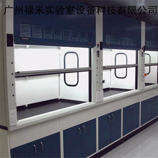 禄米实验室厂家实验室通风柜，通风设备，落地通风柜，全钢通风柜LM-TFG956