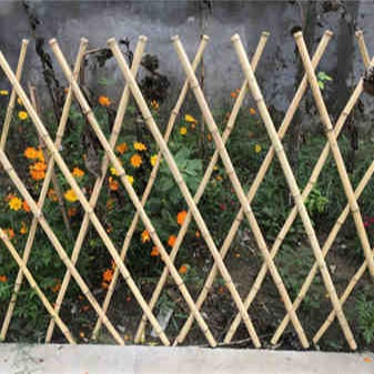 正万护栏 竹竿菜园搭架，伸缩竹拉网，竹篱笆围栏栅栏，庭院装饰，户外菜园毛竹杆子图片