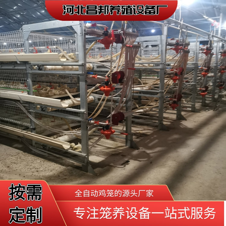 全自动肉鸡笼 框架式肉鸡笼 昌邦 肉鸡养殖笼 价格便宜