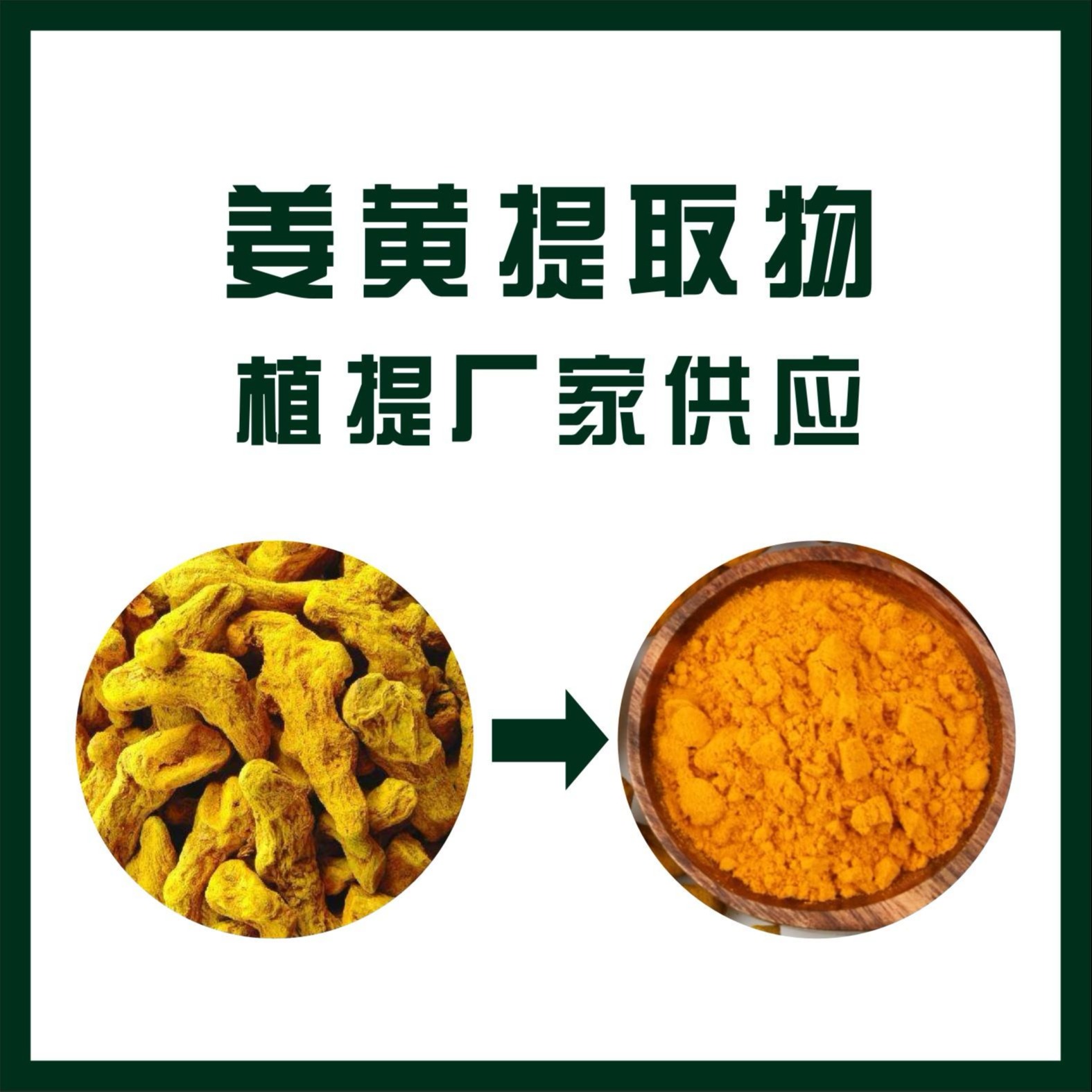 姜黄提取物   姜黄素 姜黄色素  姜黄浓缩粉 生产基地图片
