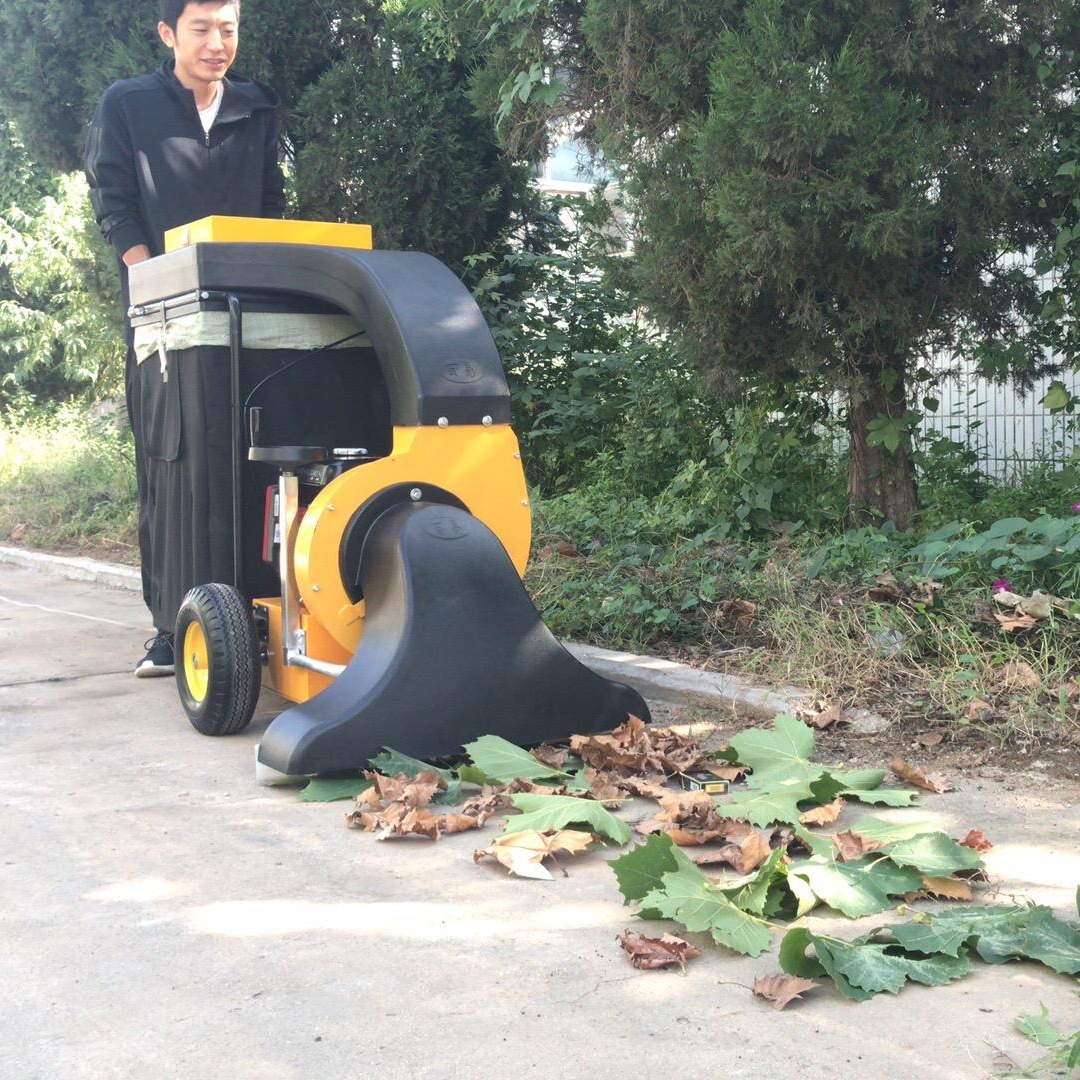 树叶清扫机 吸树叶机器 大面积吸树叶的机器 手扶式树叶收集器 百易/Baiyi BY-T2