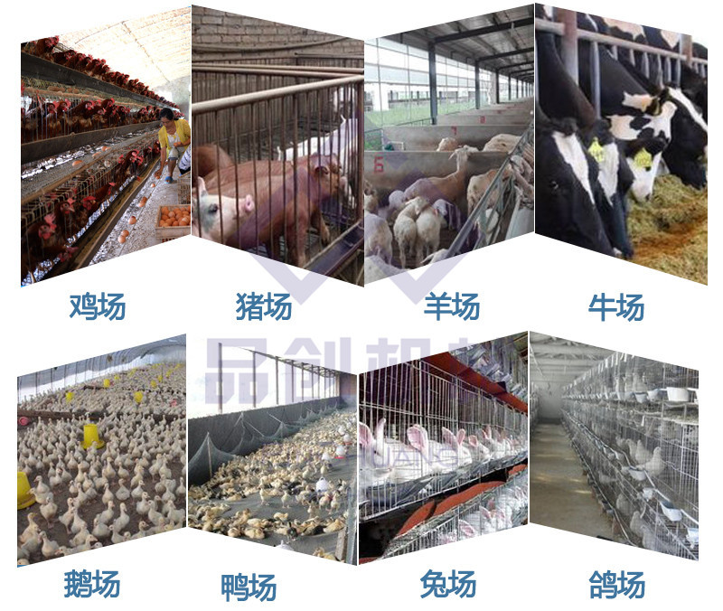 直销牛场刮板式清粪机 养鸡场牵引式刮粪机 畜禽养殖专用清粪机示例图15