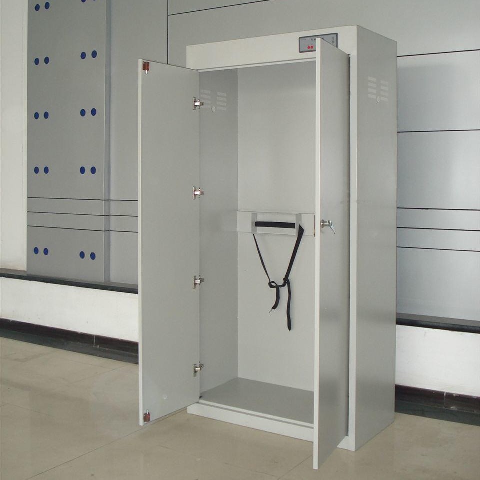 禄米 广东实验室气瓶柜 实验室储存柜定制 LM-QPG52510