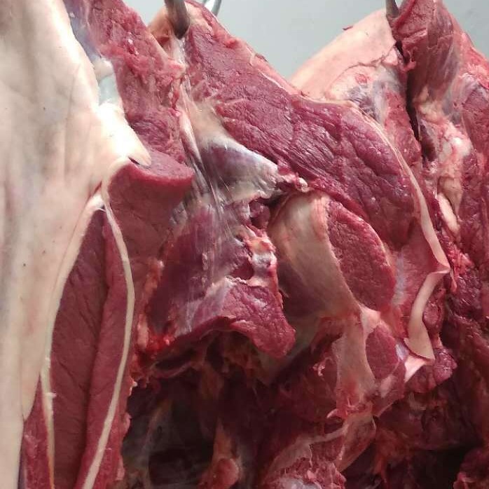 大量供应鲜驴肉生鲜驴肉现宰驴肉质量保证