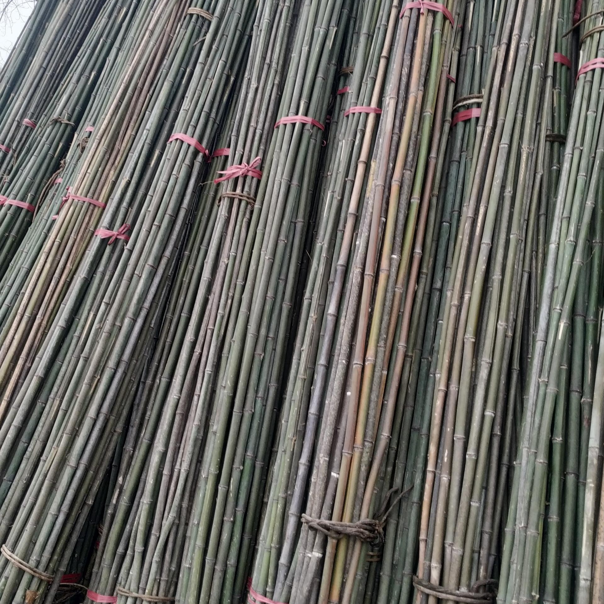 菜架竹厂家 批发蔬菜爬藤搭架2.2米至3米菜架杆