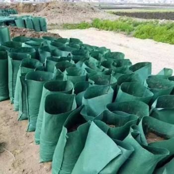 南京 河道工程护坡植草袋 公路绿化生态袋 绿化修复带草籽生态袋图片