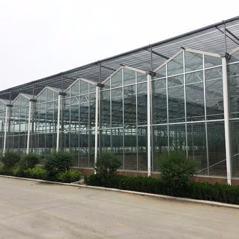 建达温室 玻璃大棚尺寸设计安装 玻璃温室大棚 玻璃观光温室大棚 玻璃温室工程