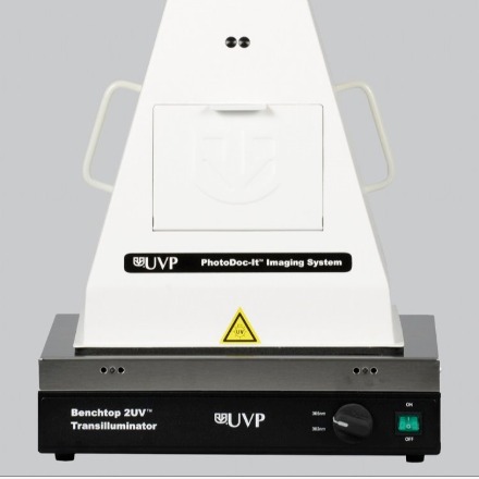 美国UVP公司 M-20V台式 UV透射仪中波302nm  透照台95-0452-02 质保3年