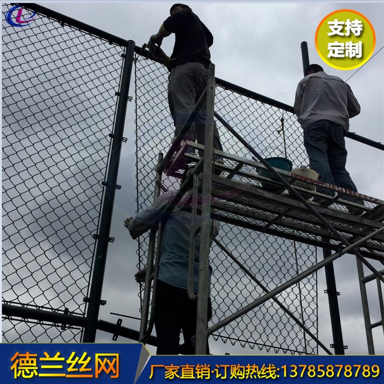 篮球场运动场隔离围栏网 浸塑勾花球场防护网护栏 德兰现货直销