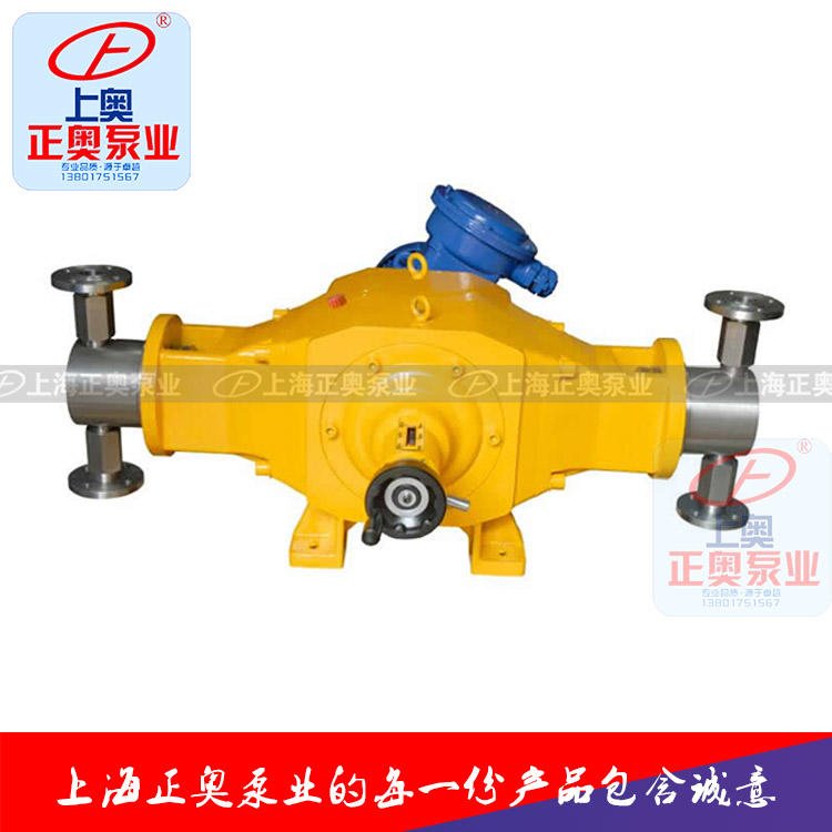 上海正奥DZ-D2型柱塞式计量泵 不锈钢计量往复泵图片