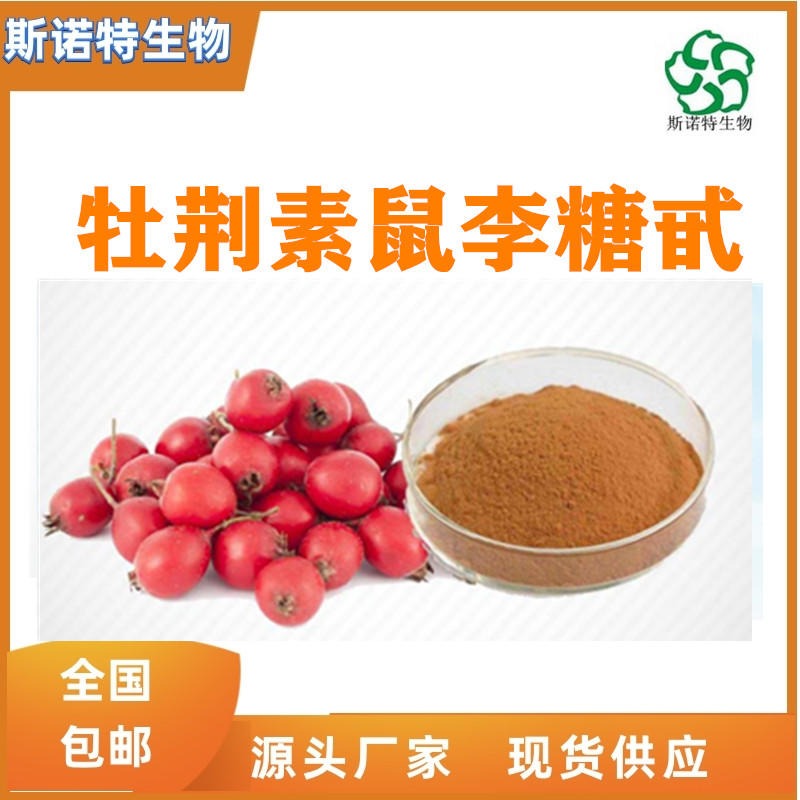牡荆素鼠李糖甙2% 山楂叶提取物  SC 厂家供应