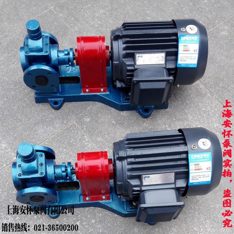 齿轮输油泵 上海安怀YCB4-0.6双向齿轮泵 圆弧齿轮油泵