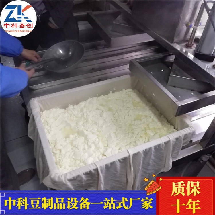  豆腐成型机 乡村振兴自动豆腐设备厂家 创业好项目