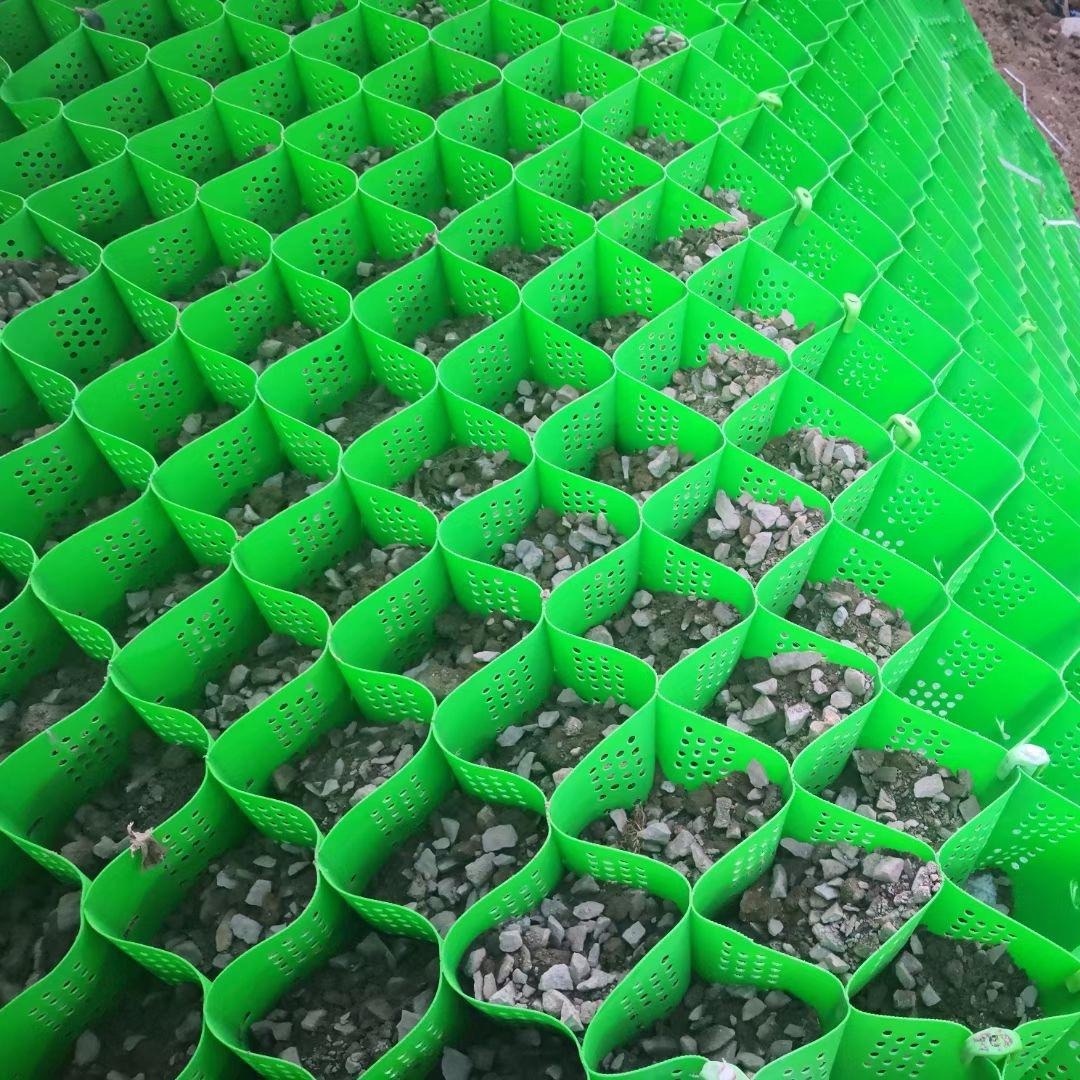 蜂巢土工格室柔性护坡 PCA蜂巢土工格室生产厂家