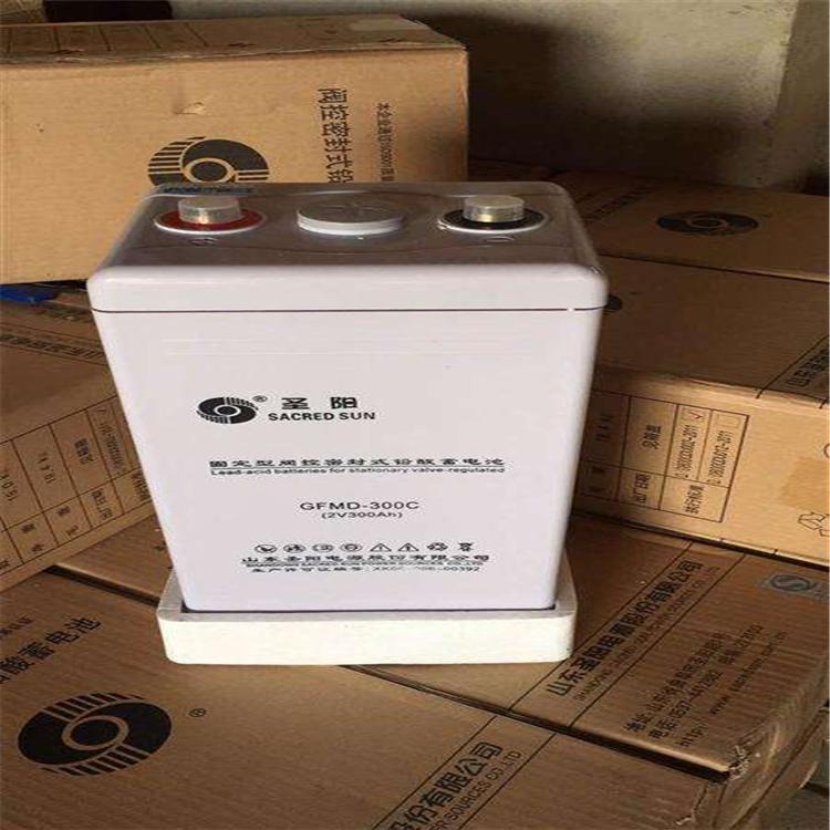 上海圣阳蓄电池TG1000-500免维护EPS电源直流屏ups专用电池