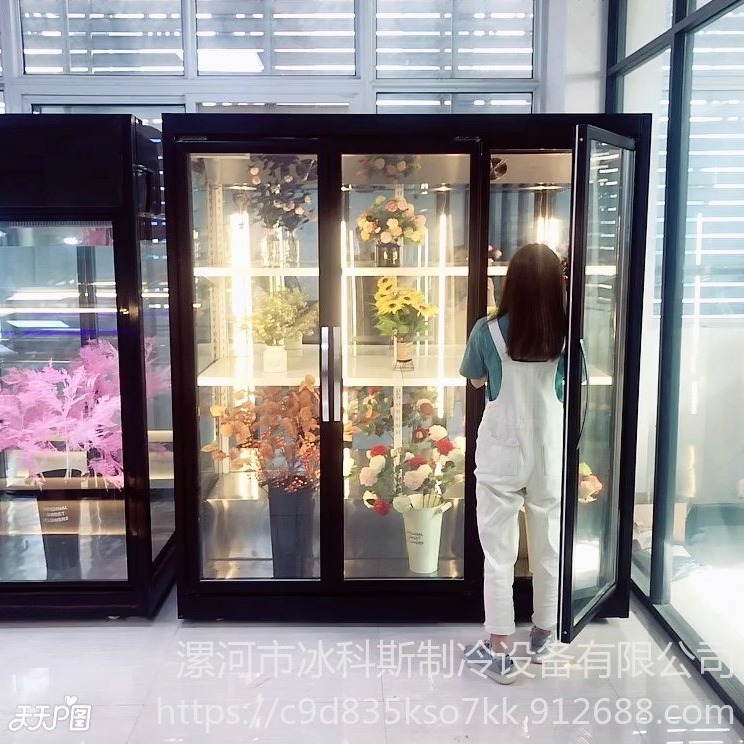 大容量花束保鲜柜 透明玻璃商用鲜花展示柜  厂家定制 未来雪冷柜定制  WLX-XH-90图片