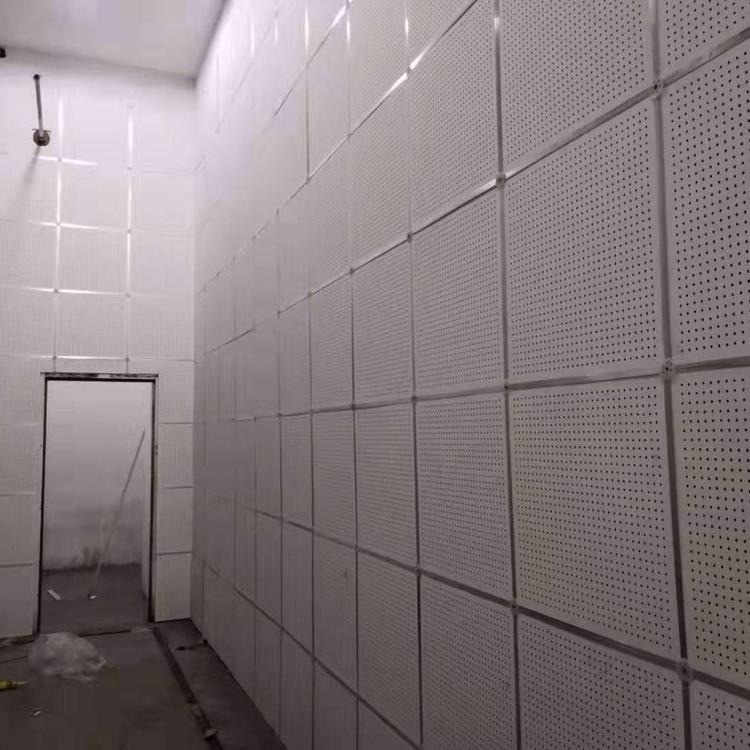 穿孔吸声板墙板 保温隔热机房墙板安装 防潮硅酸钙穿孔吸音板 复合型墙板 巨拓图片