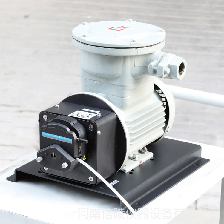 FG600S-A3工业防爆蠕动泵 调速电机防爆蠕动泵 6升每分钟工业恒流泵图片