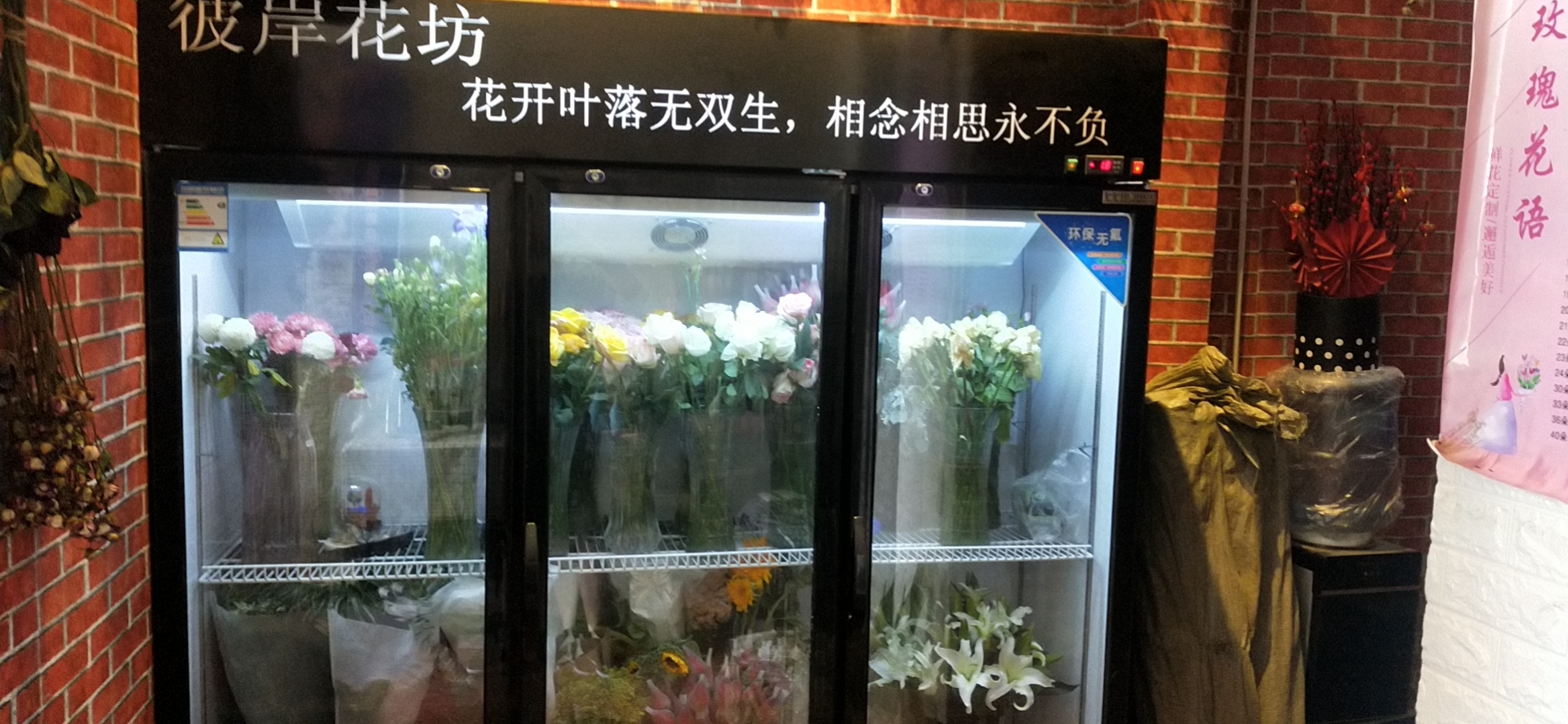 滨州济南鲜花柜价格单双三门花店鲜花保鲜风冷展柜花店玻璃冰柜植物柜陈列冷藏展示柜图片