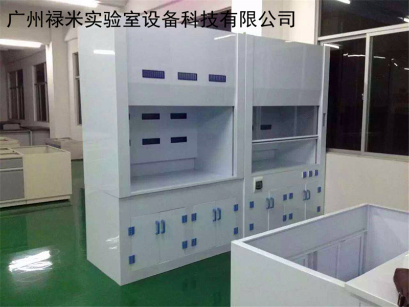 PP材质通风橱生产厂家 广州禄米实验室加工制造LUMI-TF31P
