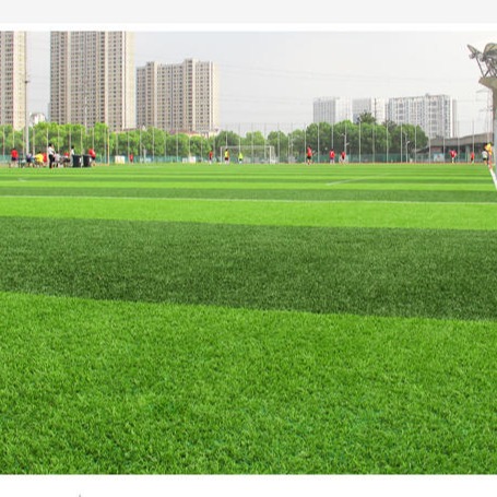 户外运动人造草皮 工程绿化假草坪 仿真草坪垫子 棒球场人工草坪