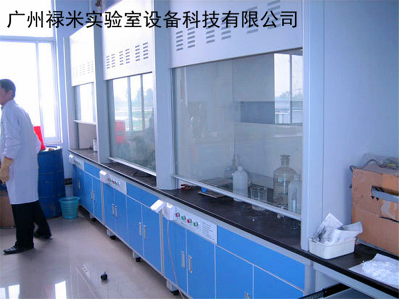 广州钢木通风柜 钢木通风橱厂家直销 禄米实验室定制