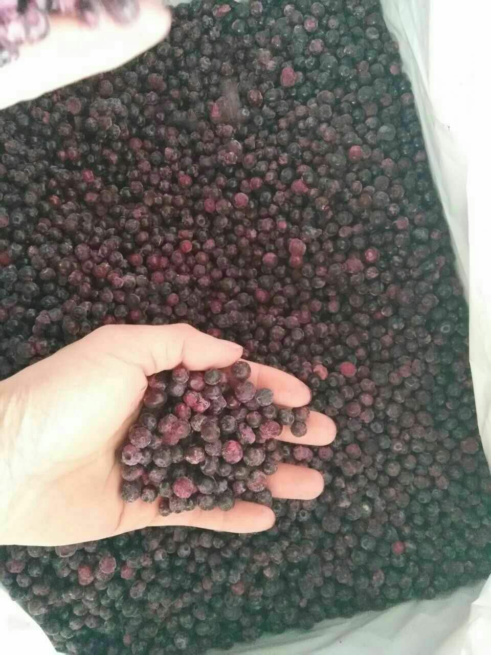 加拿大进口野生蓝莓冻果