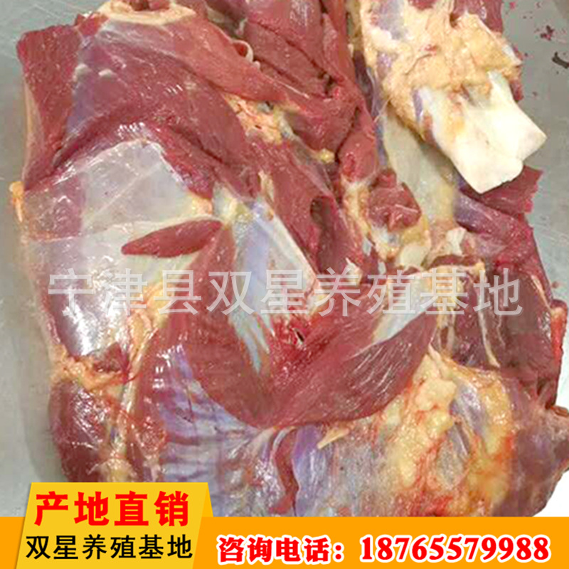 蒙古进口鲜马肉 活马屠宰脖头肉产地直销 天然食品新鲜马肉示例图12