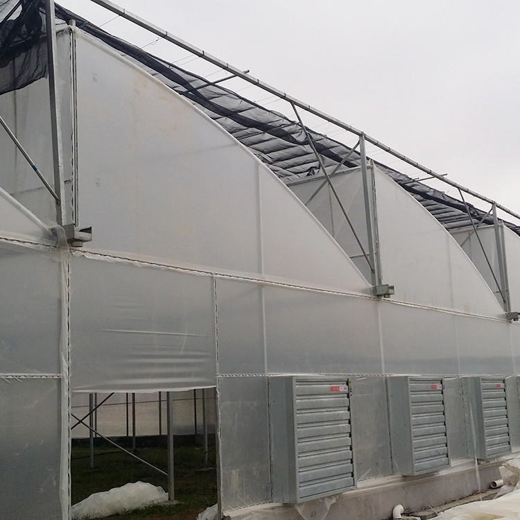 潍坊建达温室 供应大棚 薄膜大棚 玻璃温室 连栋大棚