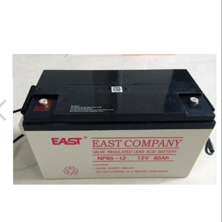 EAST易事特蓄电池NP100-12精密仪器设备UPS不间断电源12V100AH代理报价