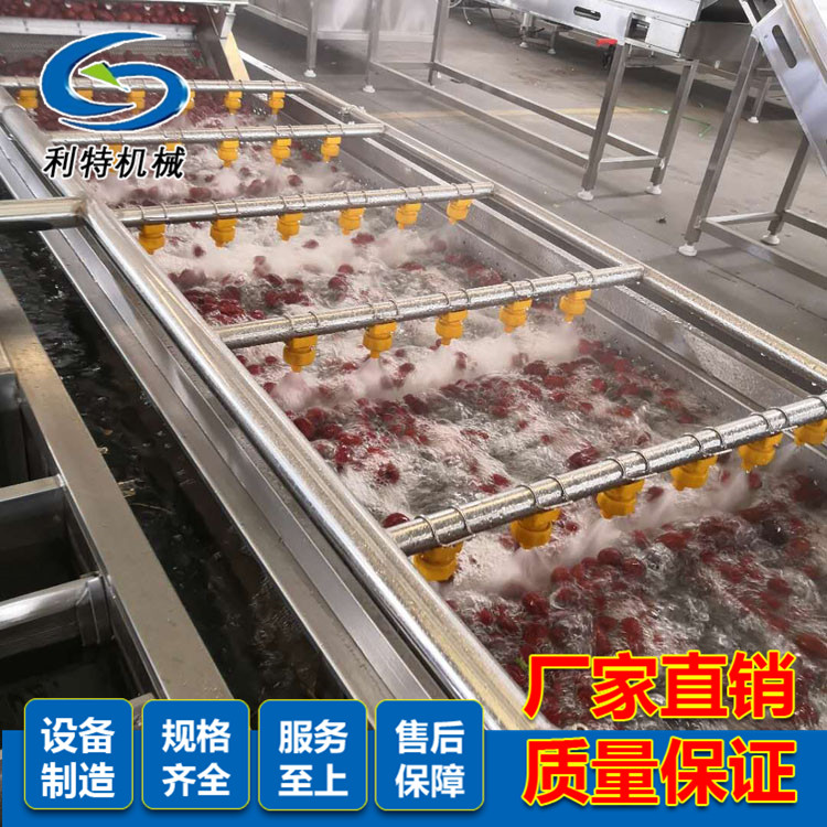 大枣清洗设备  红枣风选生产线  大枣生产线  全国出售