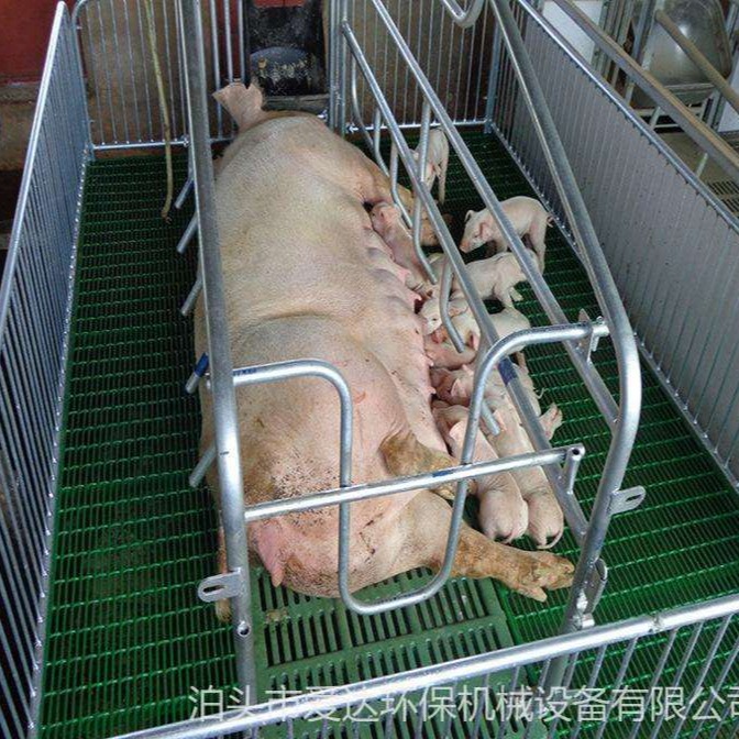 爱达定制 养猪场用母猪产床 母猪分娩床 多功能产保床