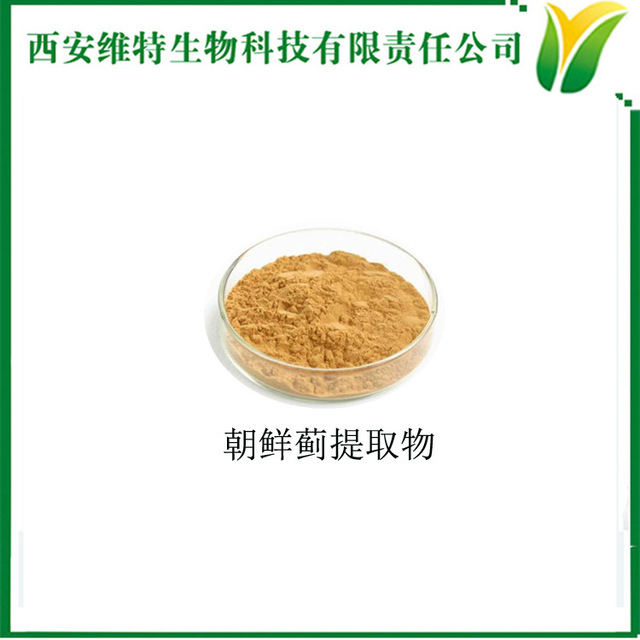 朝鲜蓟提取物 洋蓟酸含量10% Articholic acid 菊蓟萃取粉