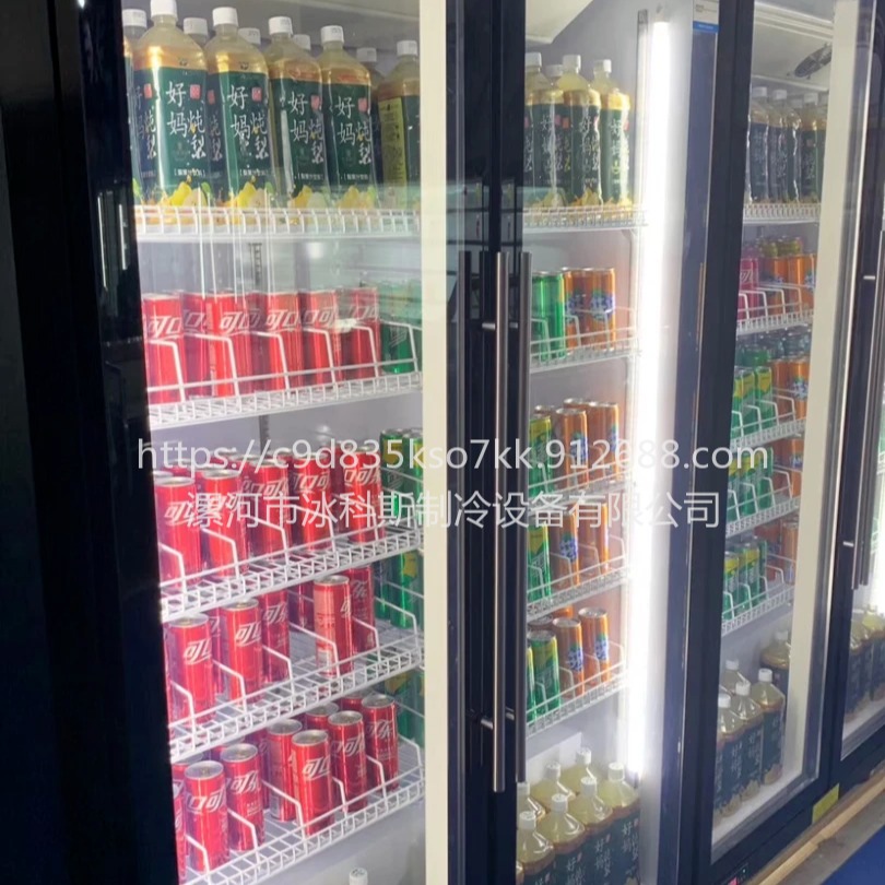 南京全屏展示柜 网红饮料柜 立式啤酒冷藏保鲜柜 商用双门冰箱 三门冷柜 未来雪冷柜WLX-QP-09图片