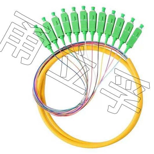 电信级 SC/APC 12芯束状尾纤 光纤跳线 单模尾纤APC图片