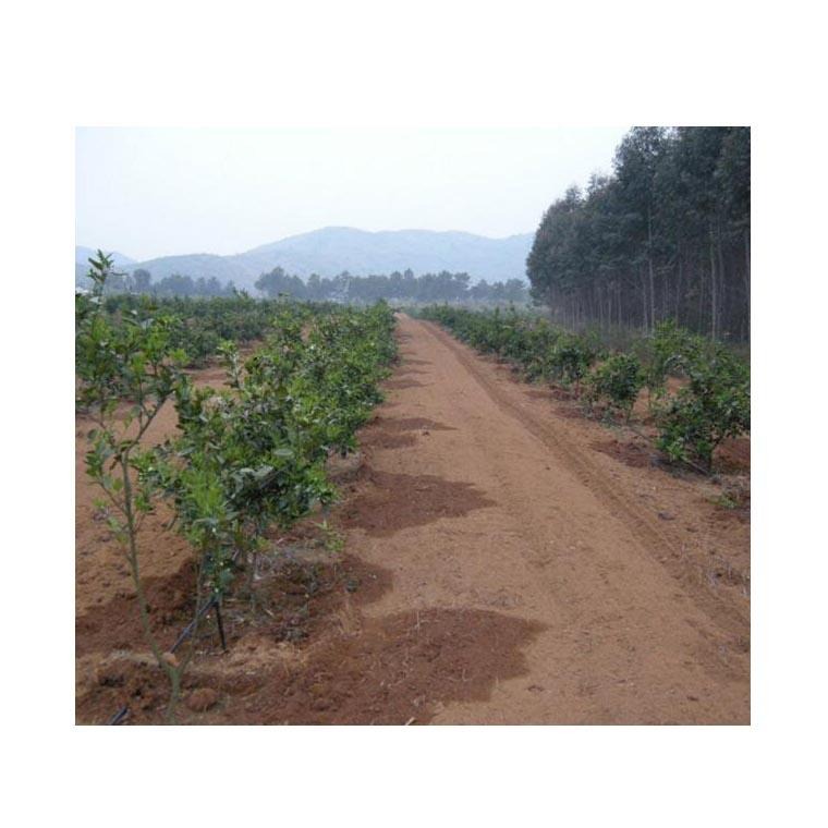 山地柑橘自动灌溉系统 柑橘果树灌溉施肥 柑橘果园灌溉设备布置图片