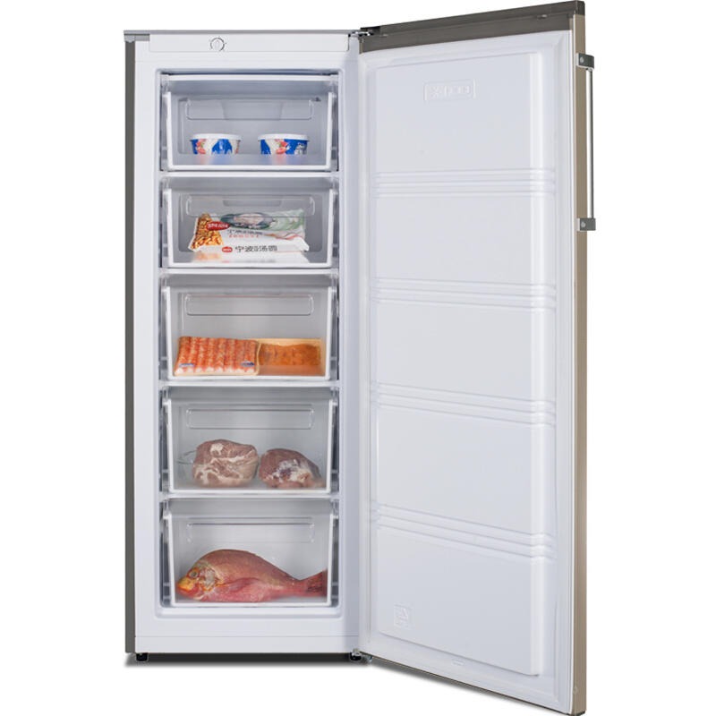 Ronshen/容声 BD-170KE 分层大抽屉 立式冷冻柜 冰柜 家用冷冻 电冰箱图片