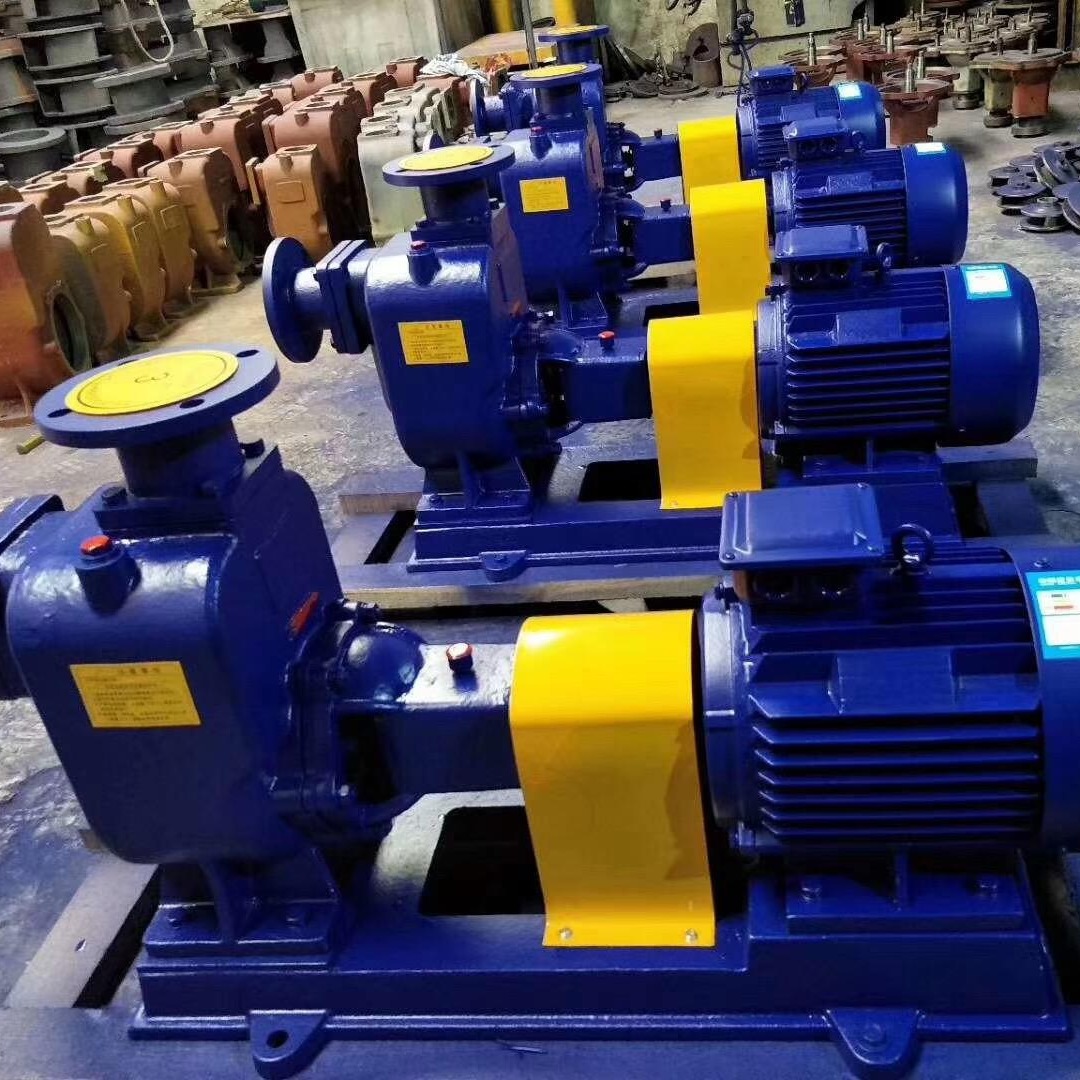 江苏蓝升泵业40ZX10-40清水自吸泵  40ZXL10-40直联式自吸泵 ZXPB不锈钢防爆自吸泵