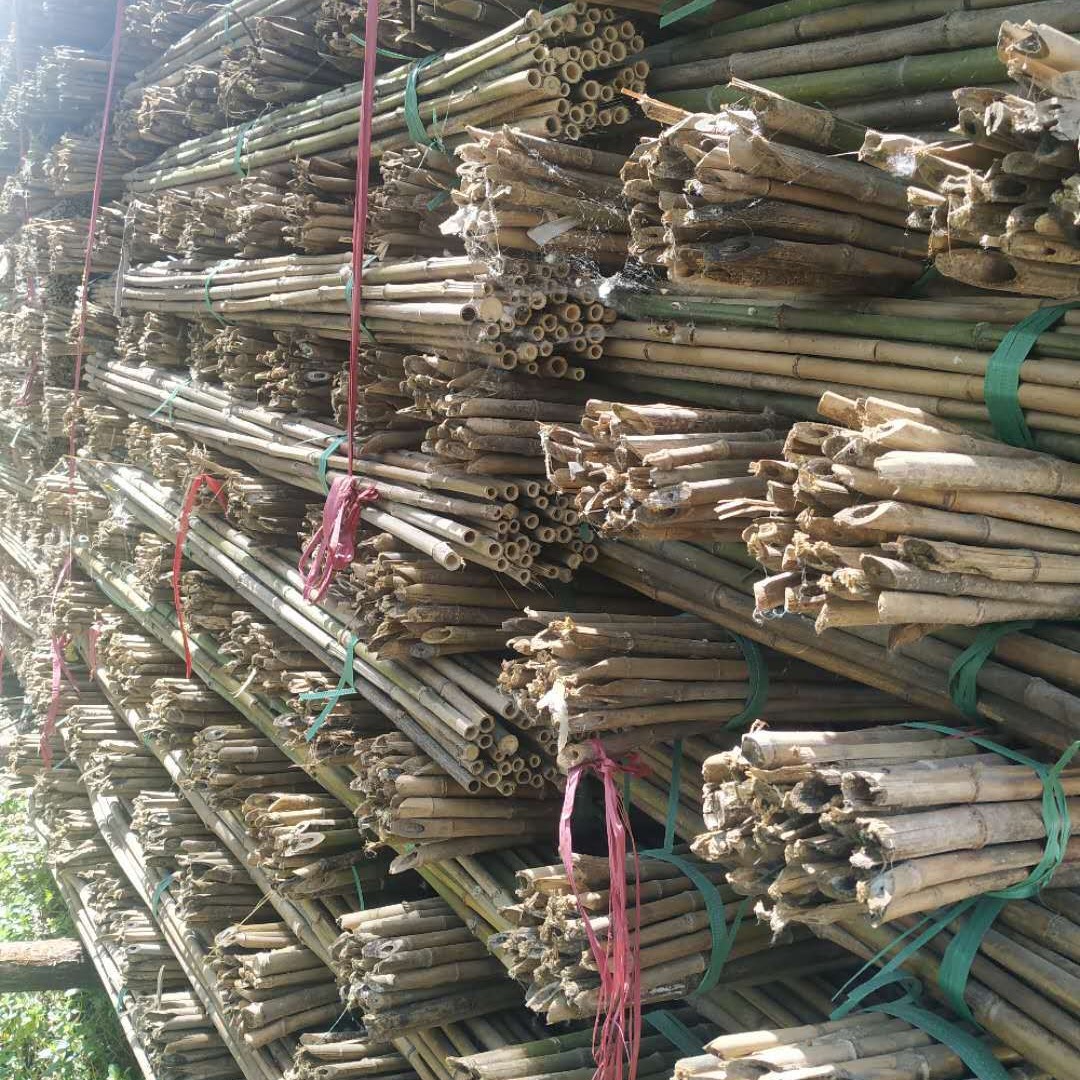 产地各种农用菜架杆 2.2米2.8米菜架竹杆 豆角架厂家批发