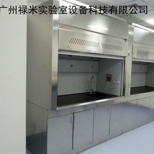 禄米实验室   不锈钢通风橱 实验室不锈钢通风柜生产厂家  广州禄米实验室设备 LUMI-TFG4865