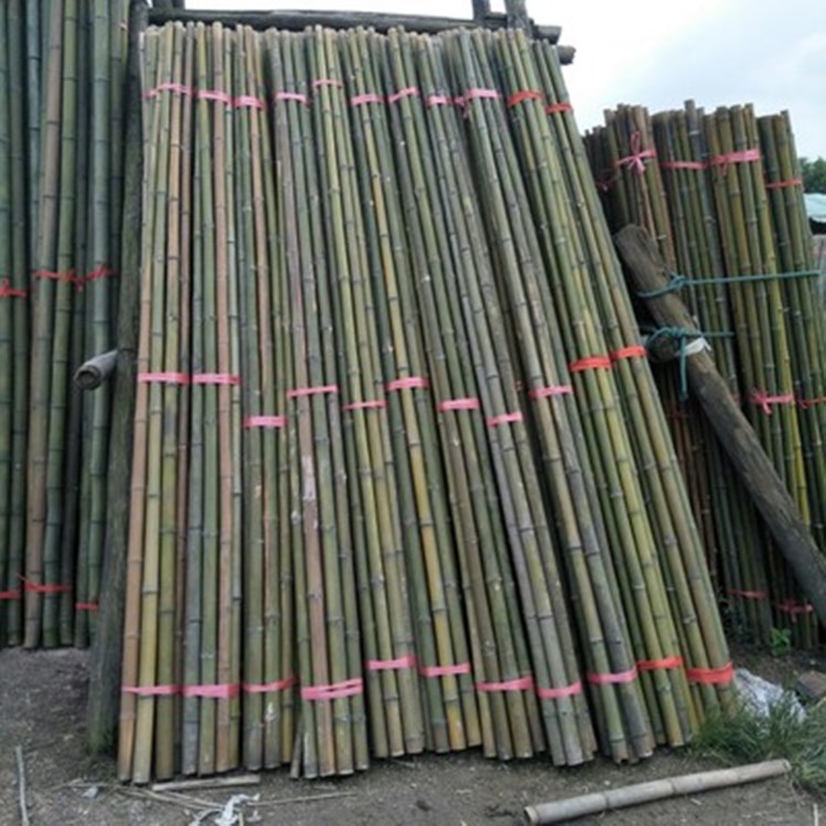 跳舞竹竿出售  装潢粗楠竹子  2米细竹片  围栏竹子