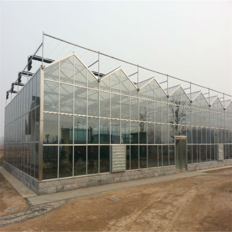 连栋玻璃温室建造 智能花卉温室大棚 玻璃智能温室价格 博伟 BW